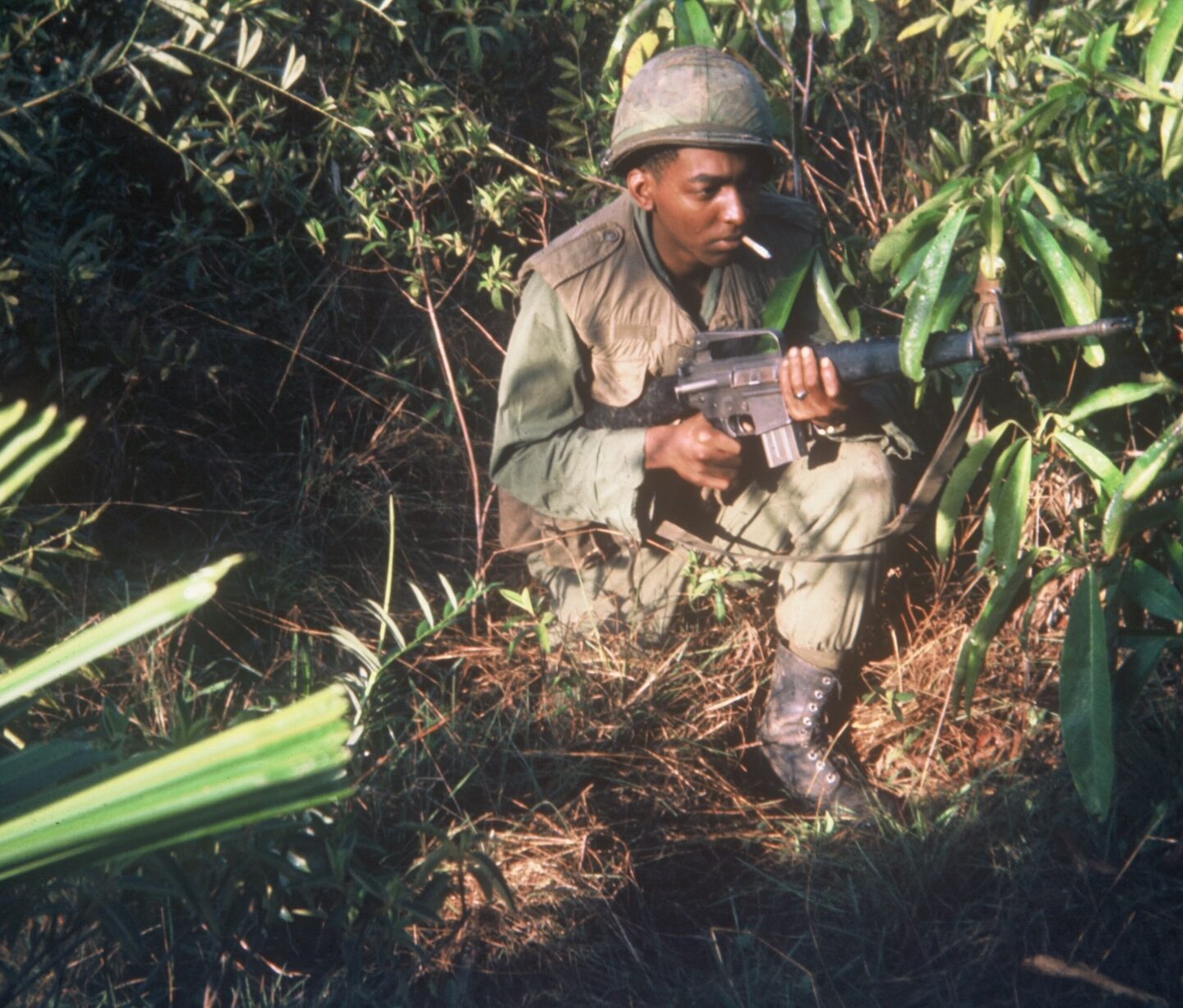 Suoi Tre Veteran 1967