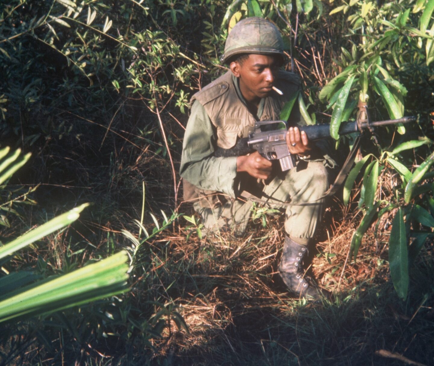 Suoi Tre Veteran 1967